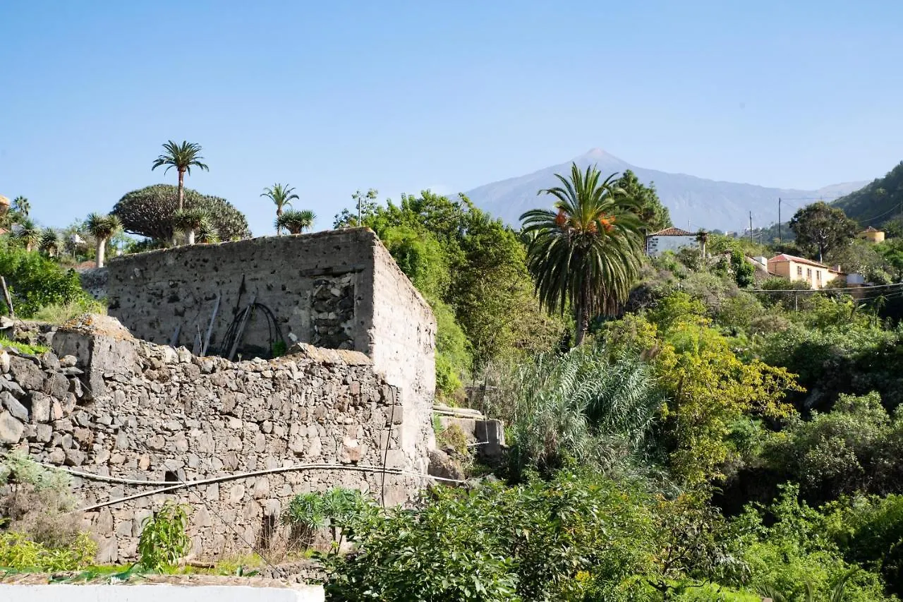 Casa La Furnia Villa Icod De Los Vinos Holiday home